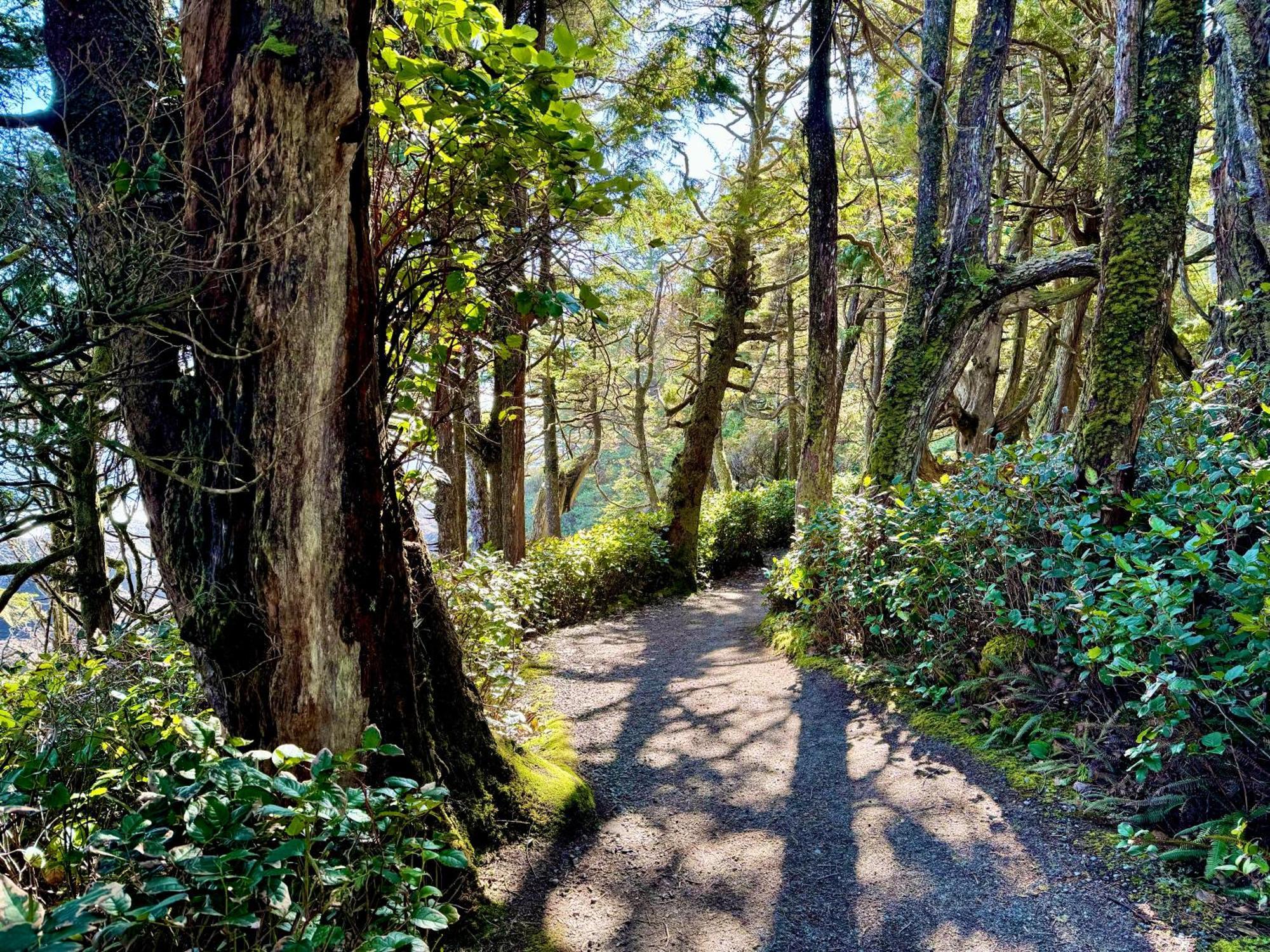 Black Rock Landing Ucluelet Exterior photo
